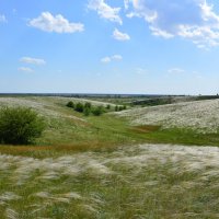 В степи. :: Виктор 