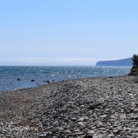 Природа Крыма :: Amazing Cosmea