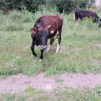 Talgar. :: Murat Bukaev 