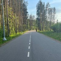 Дорога к дому :: Ирэн 