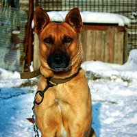 УМНЫЙ   ВЗГЛЯД :: Анатолий Малобродский