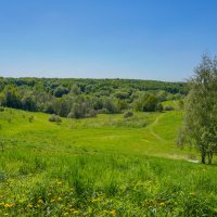 Зелёный май... :: Владимир Жданов