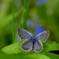 из вчерашней съемки  4 :: Александр Прокудин