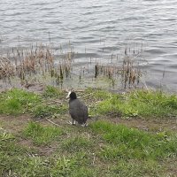 Неласковый май :: Наталья Герасимова