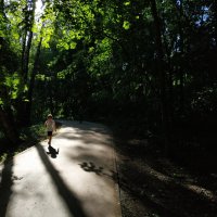 Лето совсем рядом :: Андрей Лукьянов Лето совсем рядом :: Андрей Лукьянов