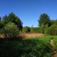 Лето совсем рядом :: Андрей Лукьянов Лето совсем рядом :: Андрей Лукьянов