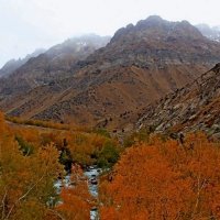 ПО ГОРАМ, осень, h~ 2300м. :: Виктор Осипчук ПО ГОРАМ, осень, h~ 2300м. :: Виктор Осипчук