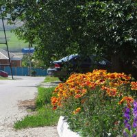 Лето на пороге :: Татьяна Смоляниченко Лето на пороге :: Татьяна Смоляниченко