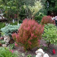 ***** :: Елена Семигина