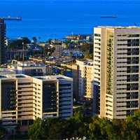 Хайфа 2025 :: Владислав Воровский 