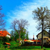 Старинные дома около мызы Виймси :: Aida10 