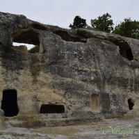 Природа Крыма :: Amazing Cosmea