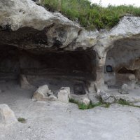 Природа Крыма :: Amazing Cosmea