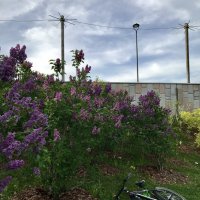 Перезагрузка… :: Любовь 