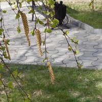 Это было недавно... :: Галина Минчук