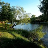 У пруда в Подмосковье. :: Татьяна Помогалова