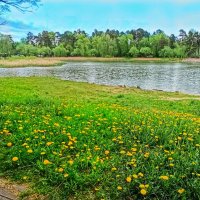 На озере :: veilins veilins На озере :: veilins veilins