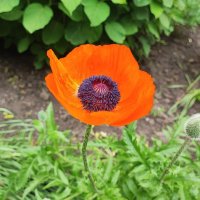 ,,, :: Сергей Тимоновский