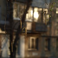 *** :: Сергей Сергеев