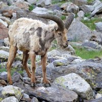 КБ :: Андрей Л. В. КБ :: Андрей Л. В.