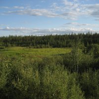 Лето :: Anna Ivanova