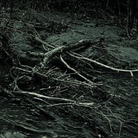 Ручей :: SanSan 