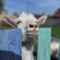 Вот и лето пришло :: Дмитрий Иванов