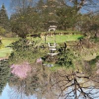 Весенний сад :: ИРЭН@ .