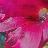 13  ОПЕН (89) :: OPEN WAYS ALL