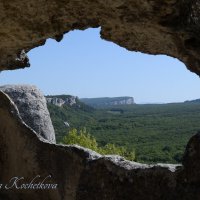 Природа Крыма :: Amazing Cosmea