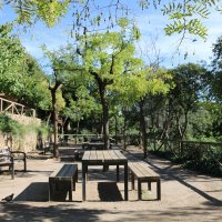 В парке Гуэль :: Ольга 