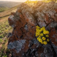 * :: Александр Иванов * :: Александр Иванов