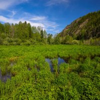 Майское утро. :: Юрий кот
