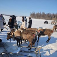Нижний Уренгой  Праздник День оленевода :: Нина Колгатина 