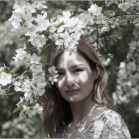 Полина и ветка яблони :: Алексей Хвастунов