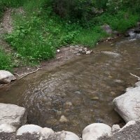 Talgar :: Murat Bukaev Talgar :: Murat Bukaev