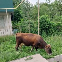 Talgar. :: Murat Bukaev 