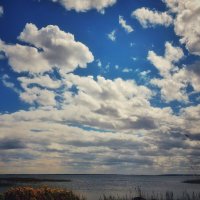 Распростёртые в небе :: Hope 