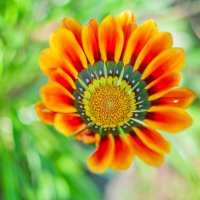 Яркие моменты :: Александр Филатов