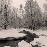 Линдуловская роща :: skijumper Иванов Линдуловская роща :: skijumper Иванов