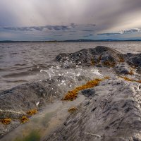 *** :: Виталий Бенгард