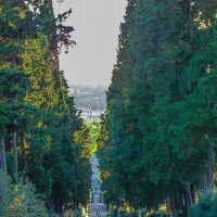 Сады Боболи /Giardino di Boboli Парковая перспектива :: Наталья Rosenwasser