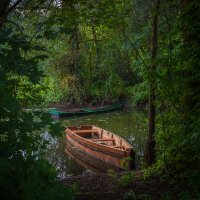 **** :: Елизавета .