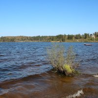 Токсово :: Наталья Герасимова Токсово :: Наталья Герасимова