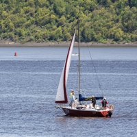 Прогулка по Амуру. :: Виктор Иванович Чернюк