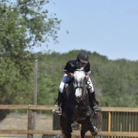 И лошадки умеют летать! :: Александр Гриднев И лошадки умеют летать! :: Александр Гриднев