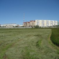 Покос :: Anna Ivanova