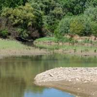 Протока :: Игорь Сикорский