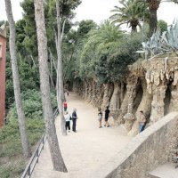 Птичьи гнёзда! :: ZNatasha -