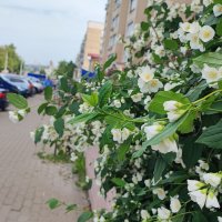 ,,, :: Сергей Тимоновский